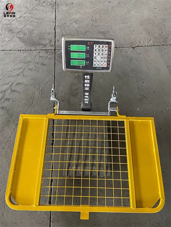 Scaffold Safety Gate